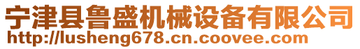 宁津县鲁盛机械设备有限公司