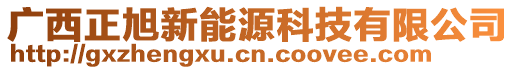 廣西正旭新能源科技有限公司