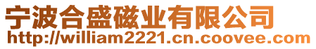 寧波合盛磁業(yè)有限公司