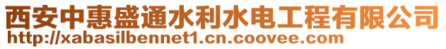 西安中惠盛通水利水電工程有限公司