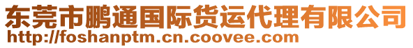 東莞市鵬通國際貨運(yùn)代理有限公司