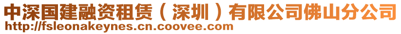 中深國(guó)建融資租賃（深圳）有限公司佛山分公司