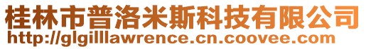 桂林市普洛米斯科技有限公司