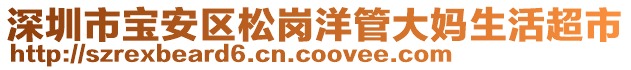 深圳市寶安區(qū)松崗洋管大媽生活超市