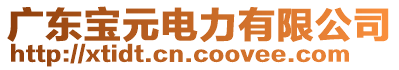 廣東寶元電力有限公司