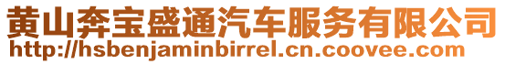 黃山奔寶盛通汽車服務有限公司