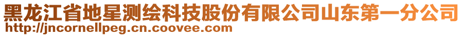 黑龍江省地星測(cè)繪科技股份有限公司山東第一分公司