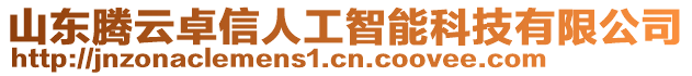 山東騰云卓信人工智能科技有限公司