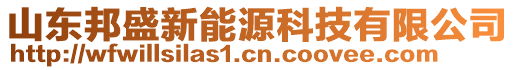 山東邦盛新能源科技有限公司