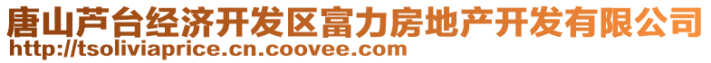 唐山蘆臺(tái)經(jīng)濟(jì)開發(fā)區(qū)富力房地產(chǎn)開發(fā)有限公司