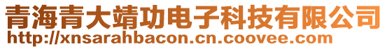 青海青大靖功電子科技有限公司