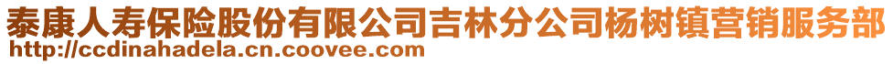 泰康人壽保險(xiǎn)股份有限公司吉林分公司楊樹鎮(zhèn)營銷服務(wù)部