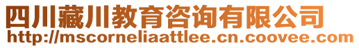 四川藏川教育咨詢有限公司