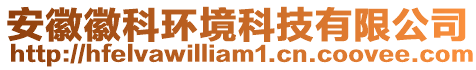 安徽徽科環(huán)境科技有限公司