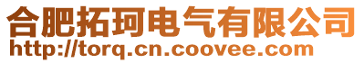 合肥拓珂電氣有限公司