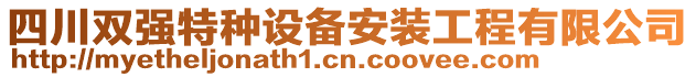 四川雙強特種設備安裝工程有限公司