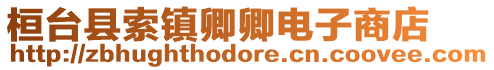 桓臺縣索鎮卿卿電子商店