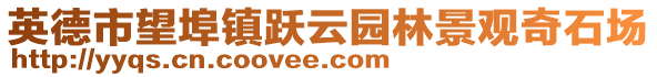 英德市望埠镇跃云园林景观奇石场