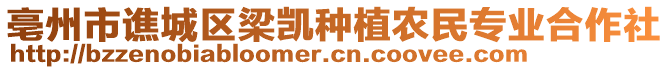 亳州市譙城區(qū)梁凱種植農(nóng)民專(zhuān)業(yè)合作社