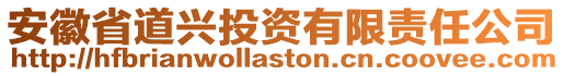 安徽省道興投資有限責(zé)任公司