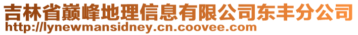 吉林省巅峰地理信息有限公司东丰分公司