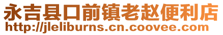 永吉县口前镇老赵便利店