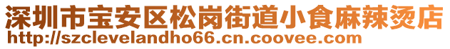 深圳市寶安區(qū)松崗街道小食麻辣燙店