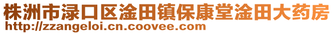 株洲市渌口区淦田镇保康堂淦田大药房