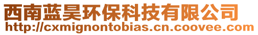 西南藍(lán)昊環(huán)保科技有限公司