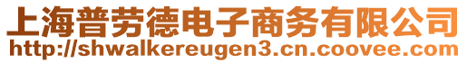 上海普勞德電子商務(wù)有限公司