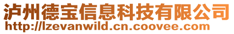 泸州德宝信息科技有限公司