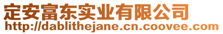 定安富东实业有限公司