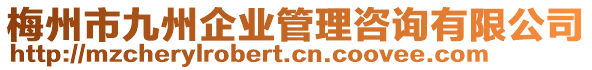 梅州市九州企业管理咨询有限公司