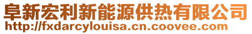 阜新宏利新能源供热有限公司