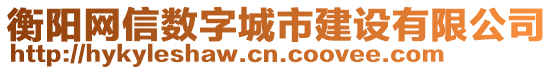 衡阳网信数字城市建设有限公司