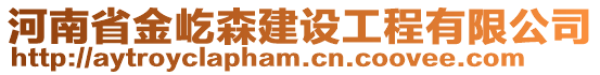 河南省金屹森建设工程有限公司