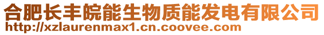 合肥长丰皖能生物质能发电有限公司