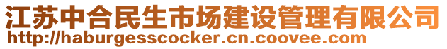 江苏中合民生市场建设管理有限公司