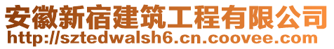 安徽新宿建筑工程有限公司