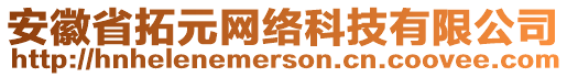 安徽省拓元网络科技有限公司