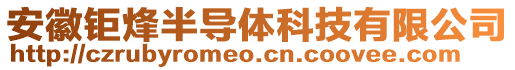 安徽钜烽半导体科技有限公司