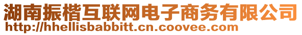 湖南振楷互联网电子商务有限公司