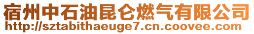 宿州中石油昆仑燃气有限公司