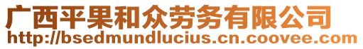 广西平果和众劳务有限公司