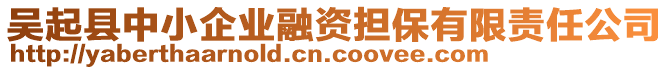 吴起县中小企业融资担保有限责任公司