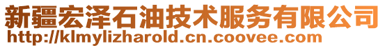 新疆宏泽石油技术服务有限公司