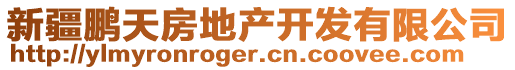 新疆鹏天房地产开发有限公司