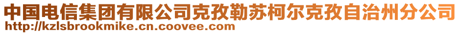 中国电信集团有限公司克孜勒苏柯尔克孜自治州分公司