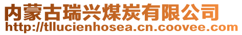 内蒙古瑞兴煤炭有限公司