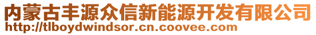 内蒙古丰源众信新能源开发有限公司